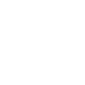 Bormax